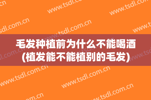毛发种植前为什么不能喝酒(植发能不能植别的毛发)