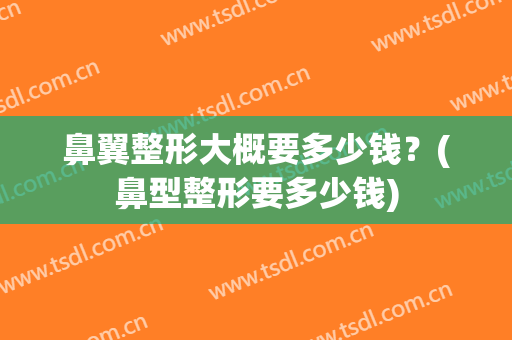鼻翼整形大概要多少钱？(鼻型整形要多少钱)