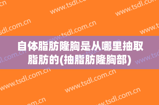 自体脂肪隆胸是从哪里抽取脂肪的(抽脂肪隆胸部)