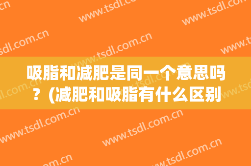 吸脂和减肥是同一个意思吗？(减肥和吸脂有什么区别)