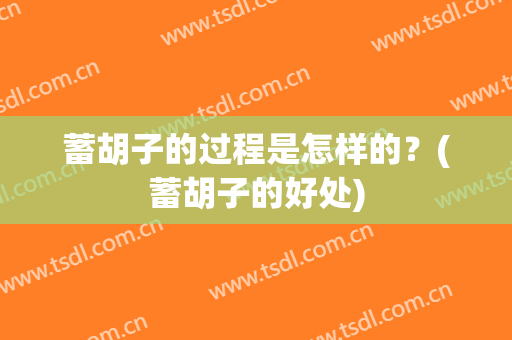 蓄胡子的过程是怎样的？(蓄胡子的好处)
