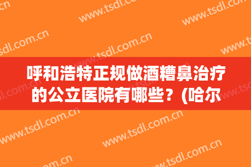 呼和浩特正规做酒糟鼻治疗的公立医院有哪些？(哈尔滨治疗酒糟鼻的医院哪家好)