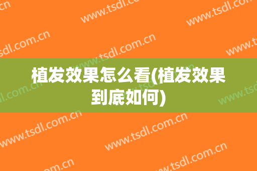 植发效果怎么看(植发效果到底如何)