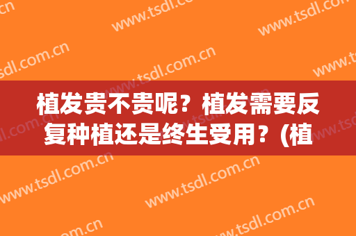 植发贵不贵呢？植发需要反复种植还是终生受用？(植发贵不贵)