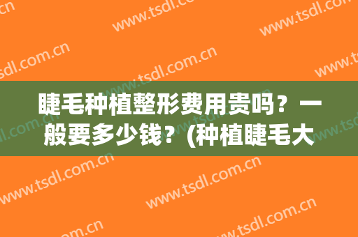 睫毛种植整形费用贵吗？一般要多少钱？(种植睫毛大概要多少钱)