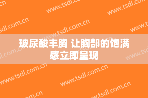 玻尿酸丰胸 让胸部的饱满感立即呈现