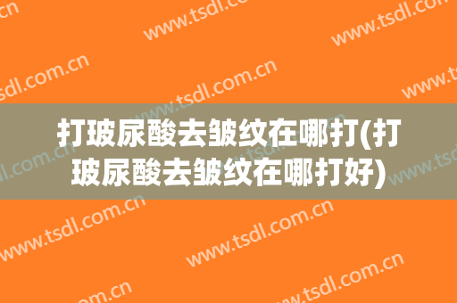 打玻尿酸去皱纹在哪打(打玻尿酸去皱纹在哪打好)