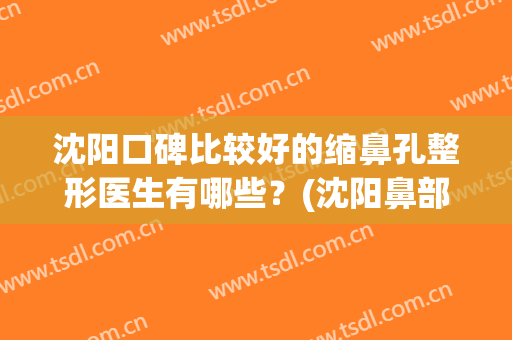 沈阳口碑比较好的缩鼻孔整形医生有哪些？(沈阳鼻部整形好的医院)