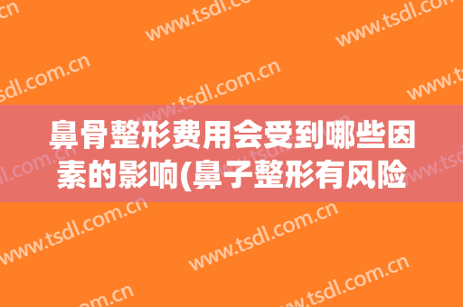 鼻骨整形费用会受到哪些因素的影响(鼻子整形有风险吗)