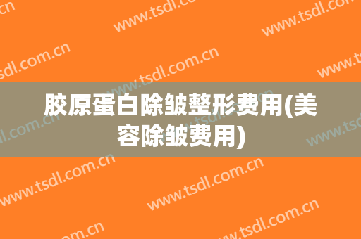 胶原蛋白除皱整形费用(美容除皱费用)