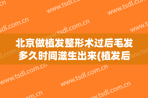 北京做植发整形术过后毛发多久时间滋生出来(植发后毛发生长周期)
