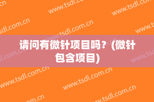 请问有微针项目吗？(微针包含项目)