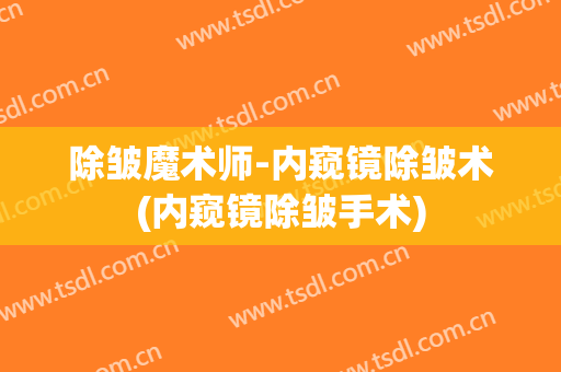 除皱魔术师-内窥镜除皱术(内窥镜除皱手术)