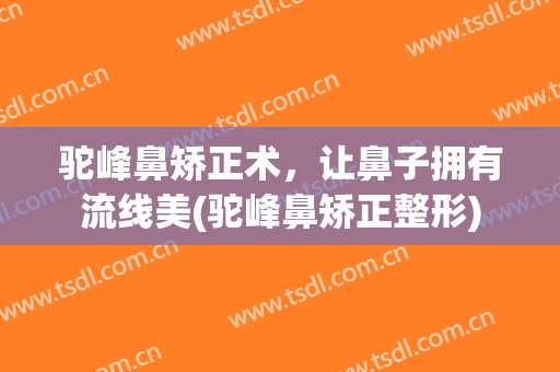驼峰鼻矫正术，让鼻子拥有流线美(驼峰鼻矫正整形)