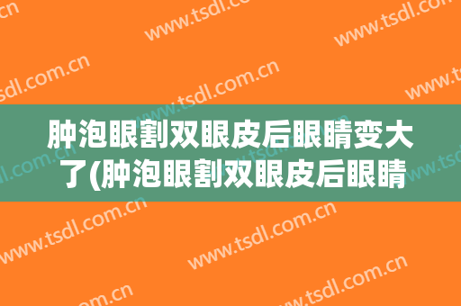 肿泡眼割双眼皮后眼睛变大了(肿泡眼割双眼皮后眼睛变大了怎么办)