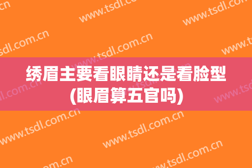 绣眉主要看眼睛还是看脸型(眼眉算五官吗)