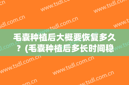 毛囊种植后大概要恢复多久？(毛囊种植后多长时间稳固)