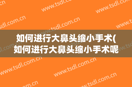 如何进行大鼻头缩小手术(如何进行大鼻头缩小手术呢)