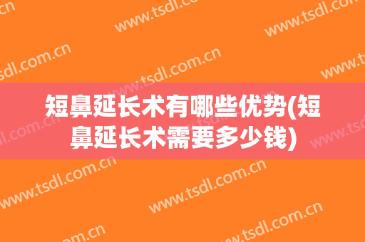 短鼻延长术有哪些优势(短鼻延长术需要多少钱)
