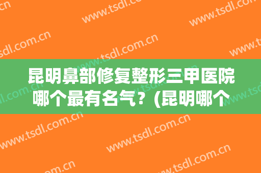 昆明鼻部修复整形三甲医院哪个最有名气？(昆明哪个医院整鼻子最好)