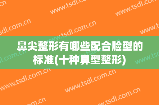 鼻尖整形有哪些配合脸型的标准(十种鼻型整形)