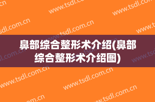 鼻部综合整形术介绍(鼻部综合整形术介绍图)