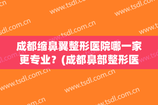 成都缩鼻翼整形医院哪一家更专业？(成都鼻部整形医生哪个好)