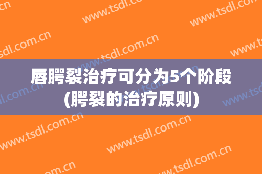 唇腭裂治疗可分为5个阶段(腭裂的治疗原则)