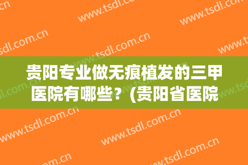 贵阳专业做无痕植发的三甲医院有哪些？(贵阳省医院可以植发吗)