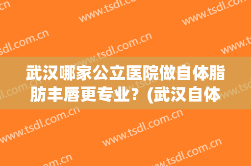 武汉哪家公立医院做自体脂肪丰唇更专业？(武汉自体脂肪丰下巴的费用)