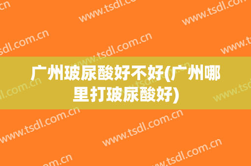 广州玻尿酸好不好(广州哪里打玻尿酸好)