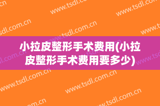 小拉皮整形手术费用(小拉皮整形手术费用要多少)