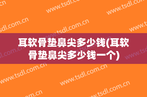 耳软骨垫鼻尖多少钱(耳软骨垫鼻尖多少钱一个)