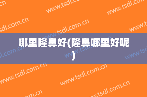 哪里隆鼻好(隆鼻哪里好呢)