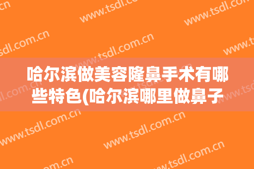 哈尔滨做美容隆鼻手术有哪些特色(哈尔滨哪里做鼻子整形好)