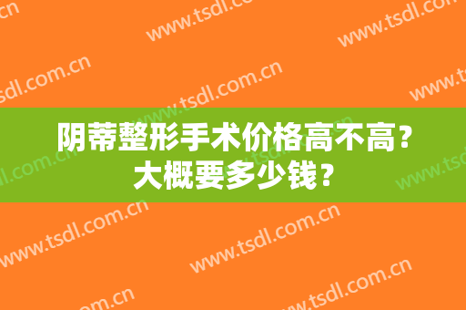 阴蒂整形手术价格高不高?大概要多少钱? 阴蒂整形手术价格高不高?大概要多少钱?