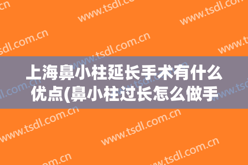 上海鼻小柱延长手术有什么优点(鼻小柱过长怎么做手术)