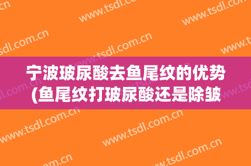宁波玻尿酸去鱼尾纹的优势(鱼尾纹打玻尿酸还是除皱针好)