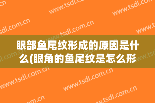 眼部鱼尾纹形成的原因是什么(眼角的鱼尾纹是怎么形成的)