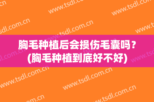 胸毛种植后会损伤毛囊吗？(胸毛种植到底好不好)