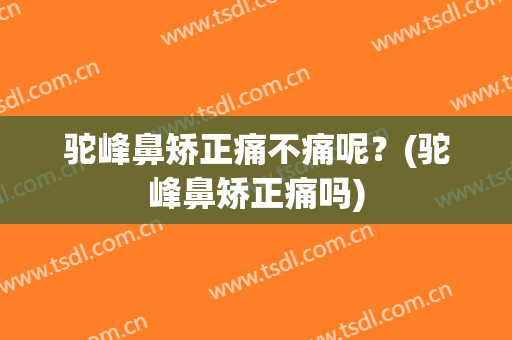 驼峰鼻矫正痛不痛呢？(驼峰鼻矫正痛吗)