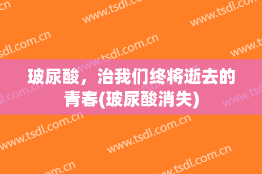 玻尿酸，治我们终将逝去的青春(玻尿酸消失)