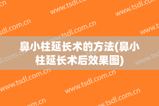 鼻小柱延长术的方法(鼻小柱延长术后效果图)