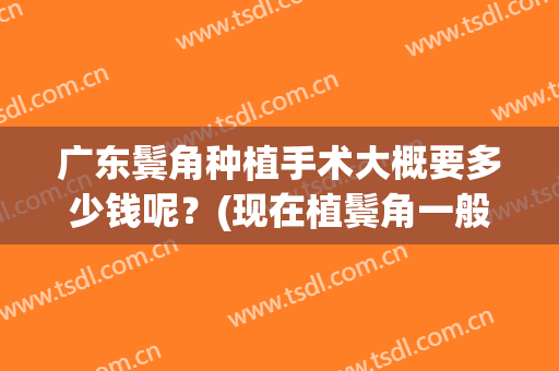 广东鬓角种植手术大概要多少钱呢？(现在植鬓角一般多少钱)