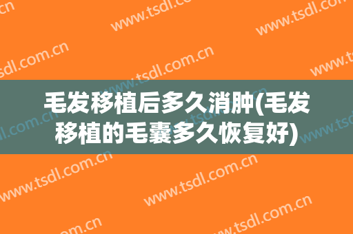 毛发移植后多久消肿(毛发移植的毛囊多久恢复好)