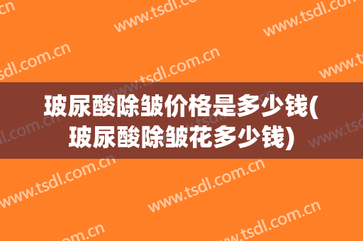 玻尿酸除皱价格是多少钱(玻尿酸除皱花多少钱)