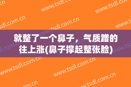 就整了一个鼻子，气质蹭的往上涨(鼻子撑起整张脸)