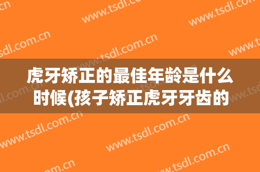 虎牙矫正的最佳年龄是什么时候(孩子矫正虎牙牙齿的最佳年龄段是多大)