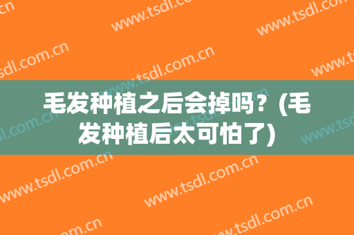 毛发种植之后会掉吗？(毛发种植后太可怕了)