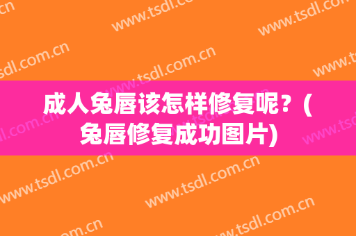 成人兔唇该怎样修复呢？(兔唇修复成功图片)